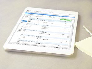 正規(guī)代辦執(zhí)照公司 歡迎來電 新疆同城定制商務(wù)咨詢供應(yīng)